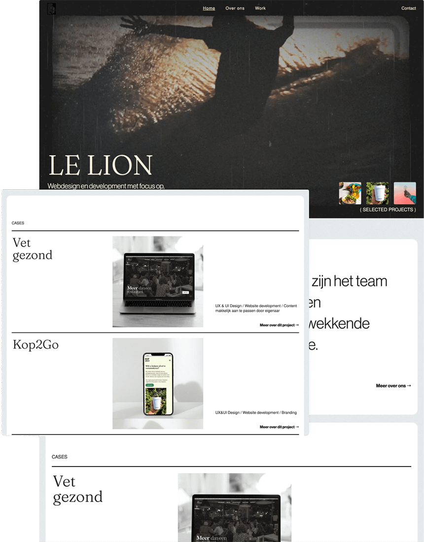 Screenshot van het resultaat van het nieuwe design van de website van LeLion